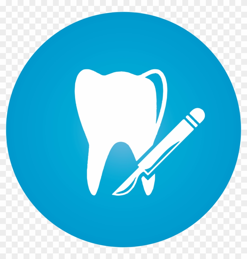 840x879 Marine Mammal Clipart Social Media Computer Icons Vimeo