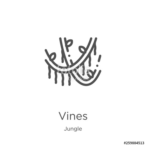 500x500 Vines Icon Vector From Jungle Collection Thin Line Vines Outline