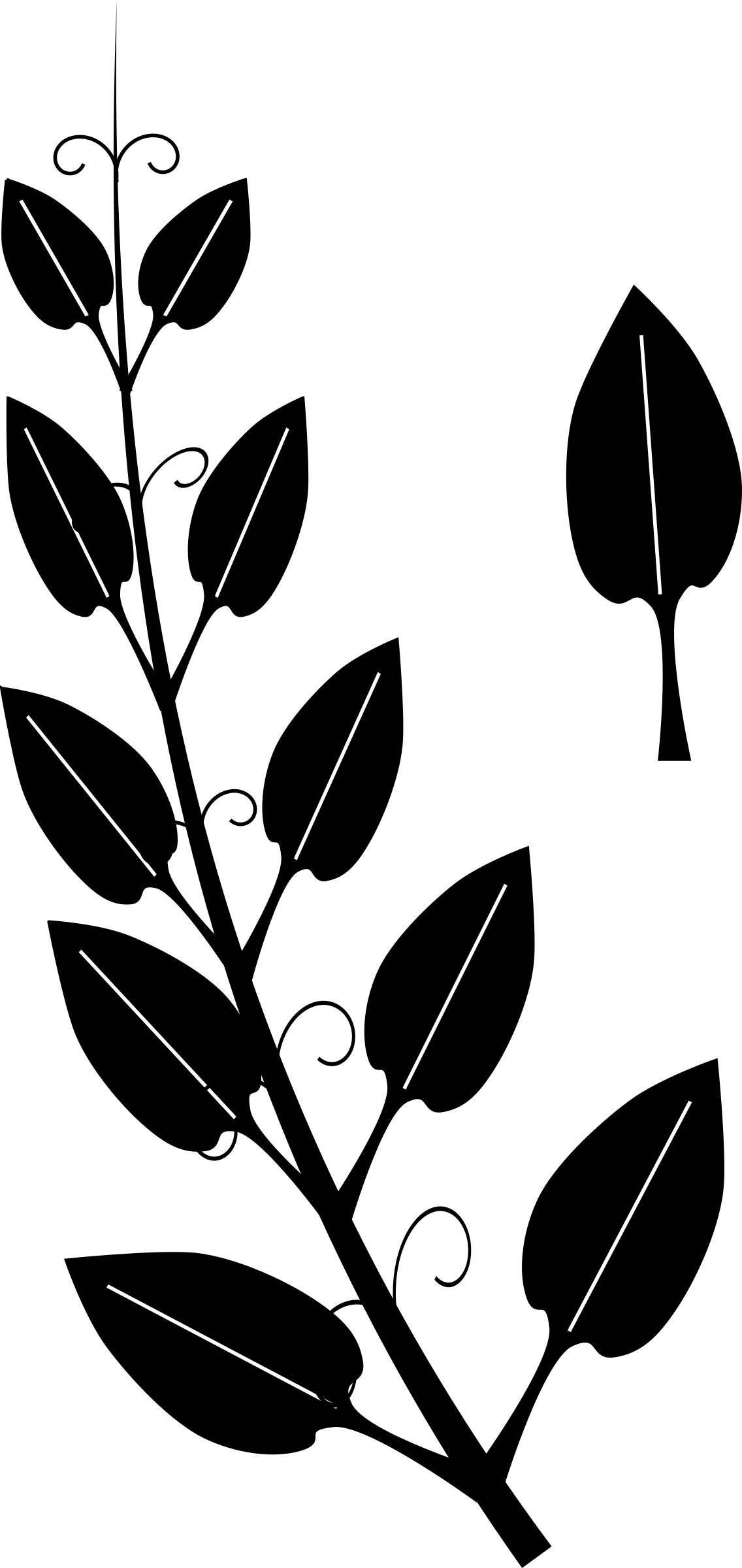 1136x2400 Stylized Vine Icons Png