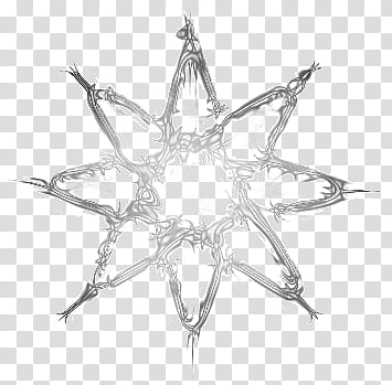 355x349 Dark Icons, Pointystar Vine Icon, Grey Star Illustration