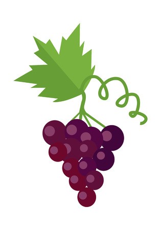 Vineyard Icon