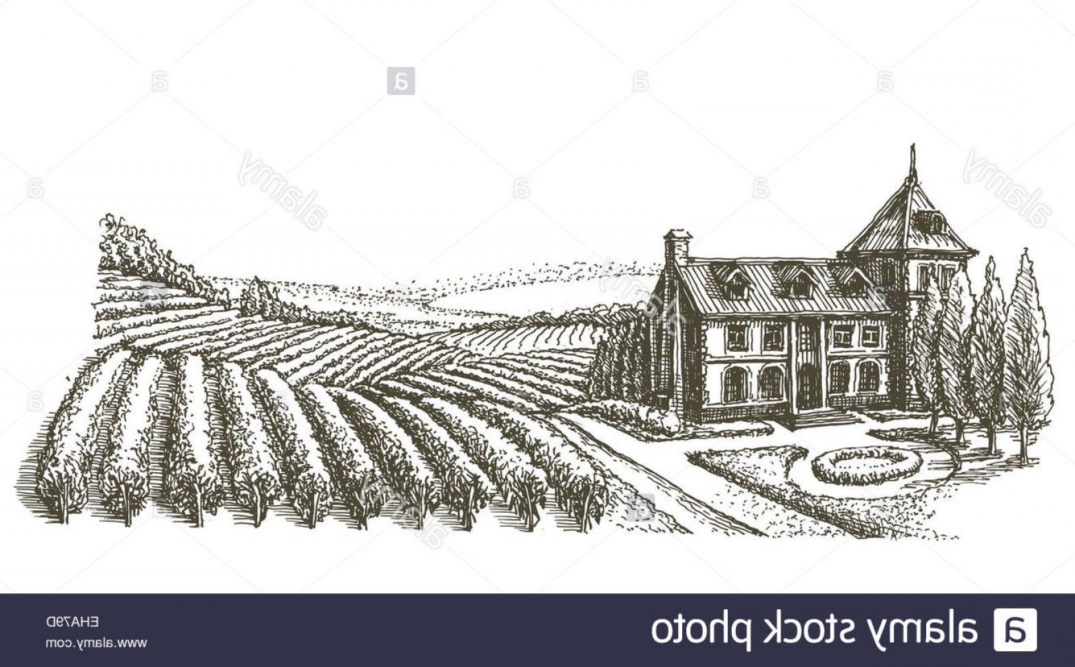 1560x969 Stock Photo Vineyard Vector Logo Design Template Village Or Farm