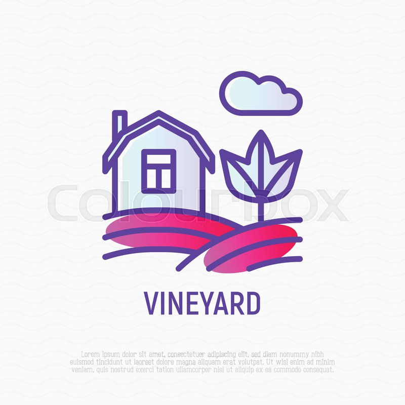 800x800 Vineyard Thin Line Icon House In Stock Vector Colourbox