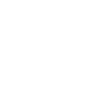 300x300 Corpus Christi Metro Ministries Vineyard Icon Corpus Christi