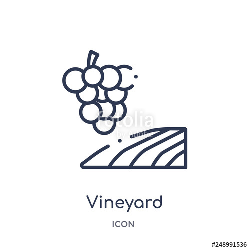 500x500 Vineyard Icon From Nature Outline Collection Thin Line Vineyard