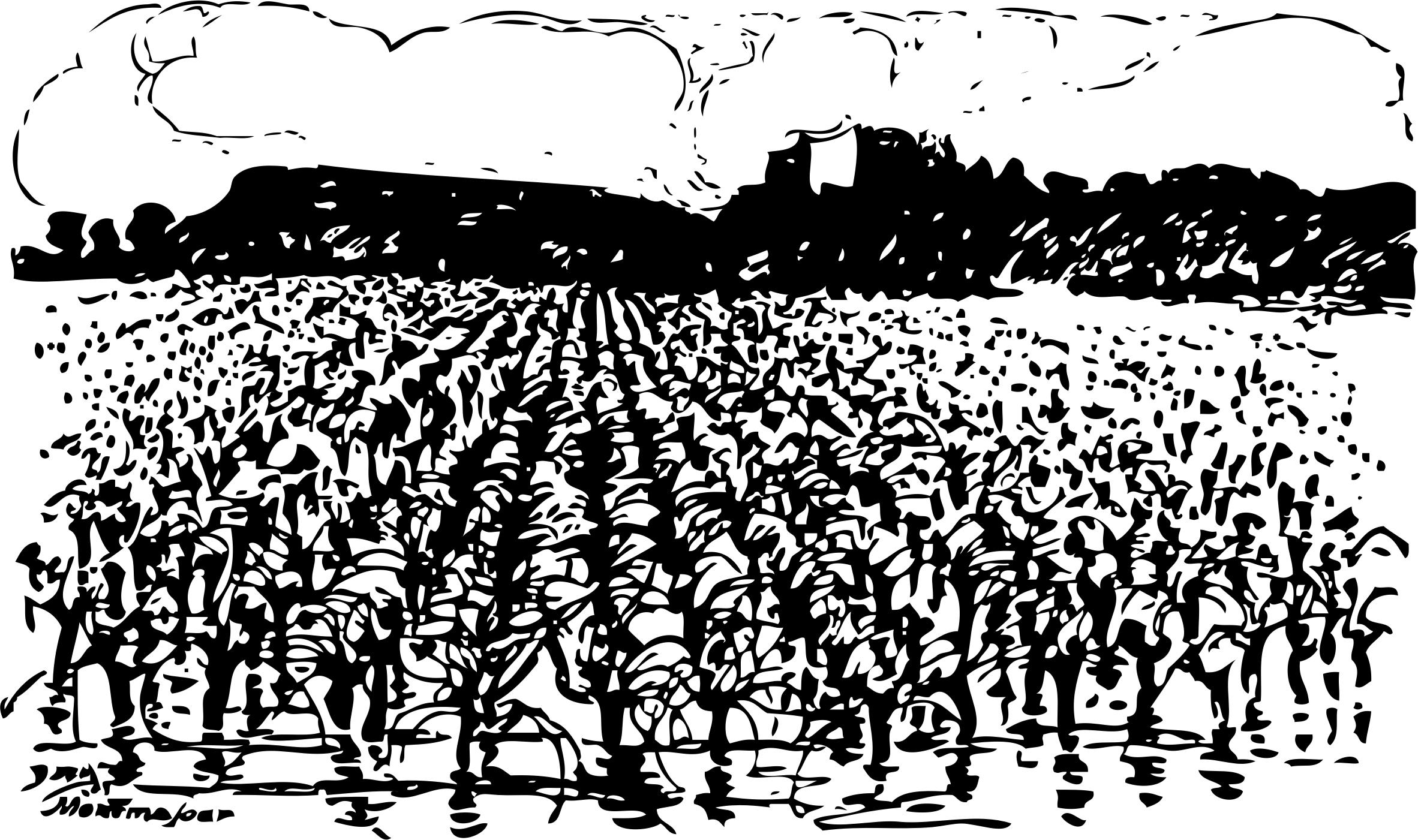 2364x1401 Montmajour And Vineyard Icons Png