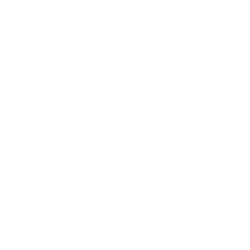 250x250 Icon Child Restraint Violation