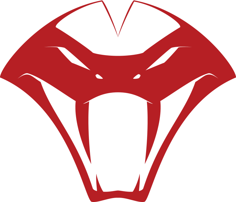 772x660 The Viper Vindicating A Vigilante The Shroud Scrivener