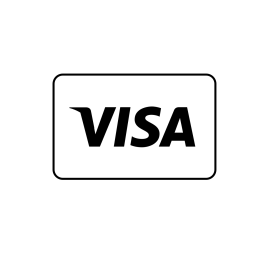 256x256 Visa, Credit, Debit, Bank, Transaction, Card Icon Of Line Style