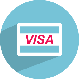 256x256 Visa Card Icon Flat Finance Iconset Graphicloads