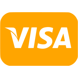 256x256 Orange Visa Icon