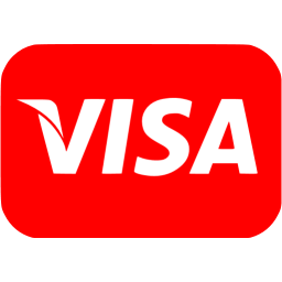 256x256 Red Visa Icon