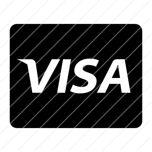 312x312 Visa Icon