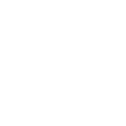 256x256 White Visa Icon