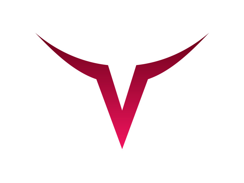 800x600 Visionary Bulls Branding