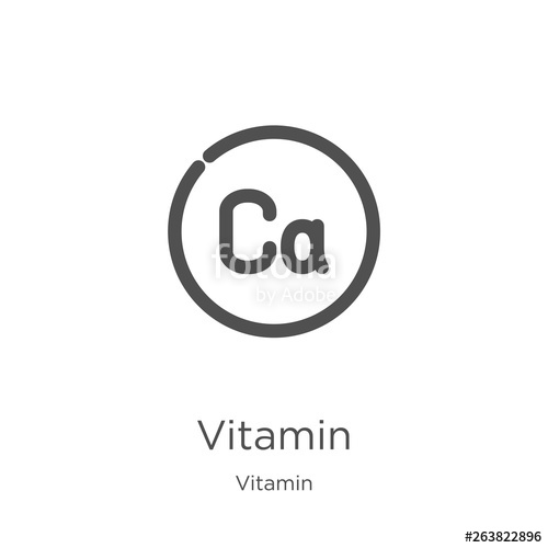 500x500 Vitamn Vector From Vitamin Collection Thin Line Vitamin