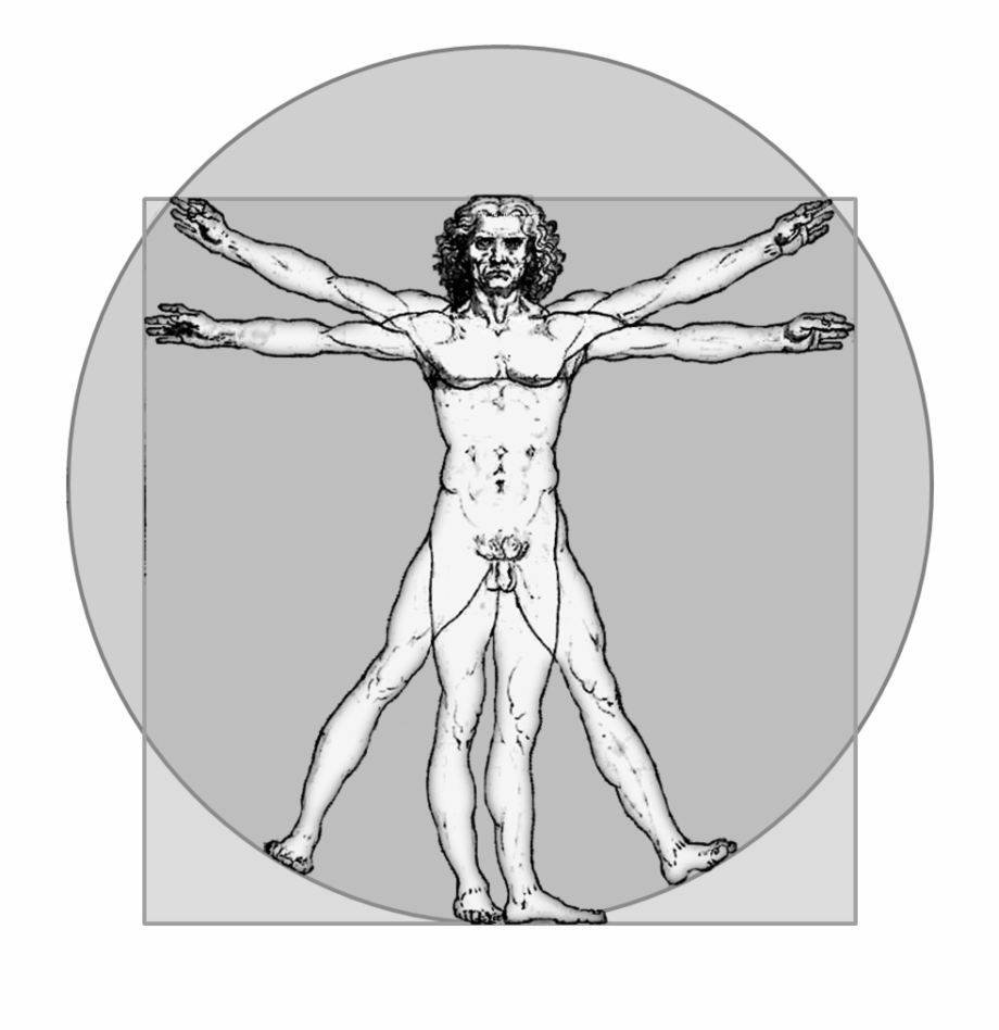 920x948 Vitruvian Icon Gray