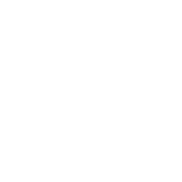256x256 White Vlc Icon
