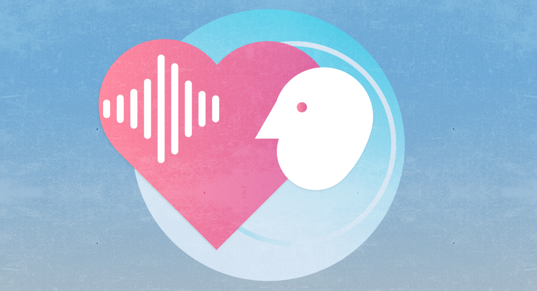 1068x580 Voice Over Trends Industry Research