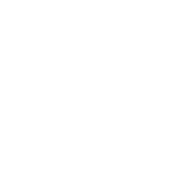 256x256 Voicemail Icon
