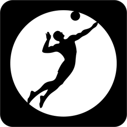250x250 Cool Black Volleyball Icon Sticker