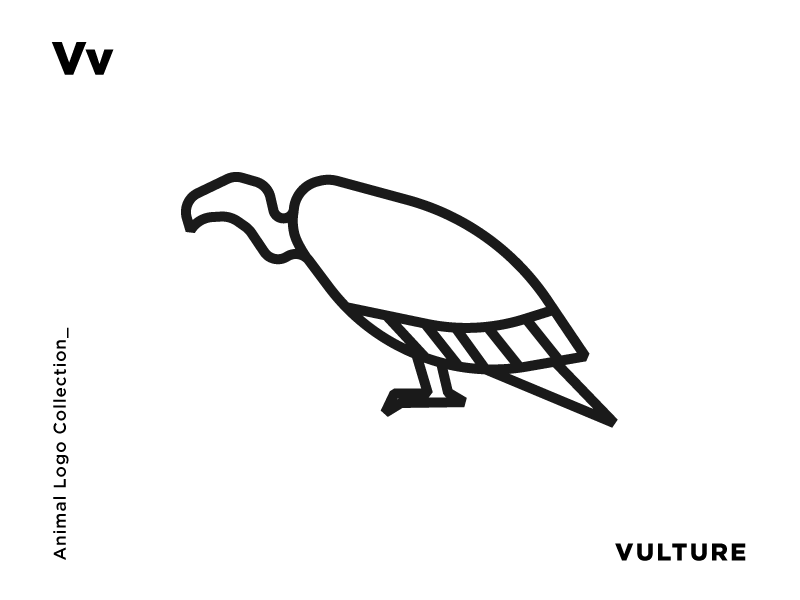 800x600 V For Vulture