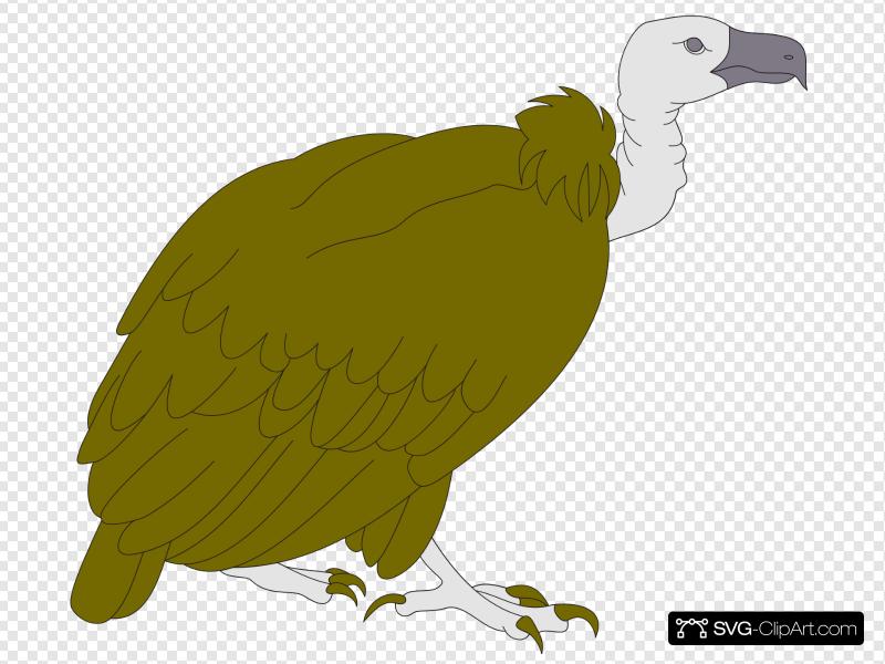 800x600 Vulture Clip Art, Icon