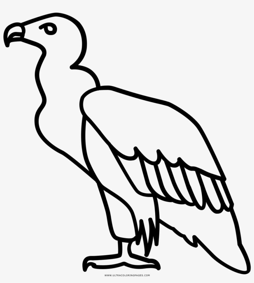 820x914 Vulture Coloring