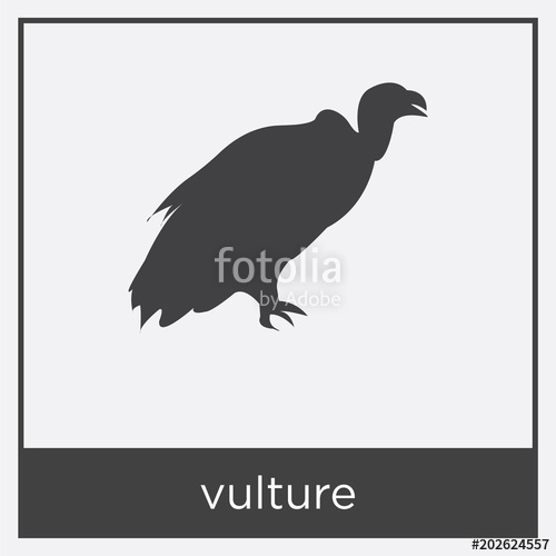 500x500 Vulture Icon Isolated On White Background Stock Image And Royalty