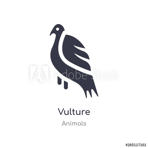 500x500 Vulture Icon Isolated Vulture Icon Vector Illustration