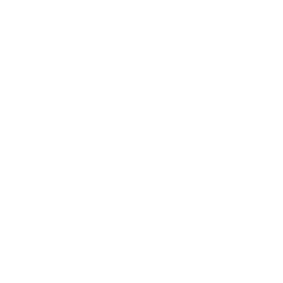 256x256 Free White Waiter Icon