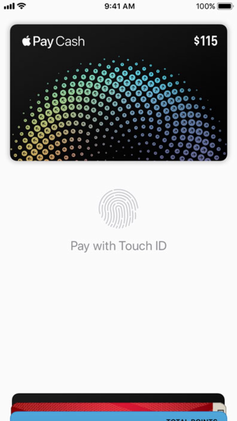 237x421 Apple Wallet