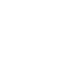 256x256 White Wallet Icon