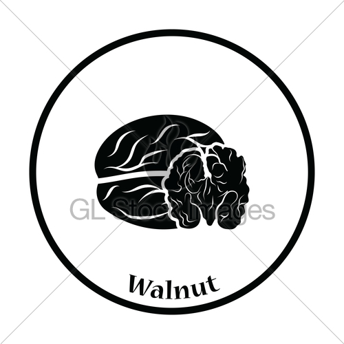500x500 Walnut Icon Gl Stock Images
