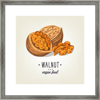 400x400 Colourful Walnut Icon Isolated On Background Vector Sketch