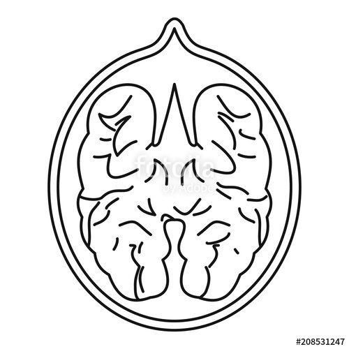 500x500 Walnut Icon In Outline Style Isolated On White Background Vector