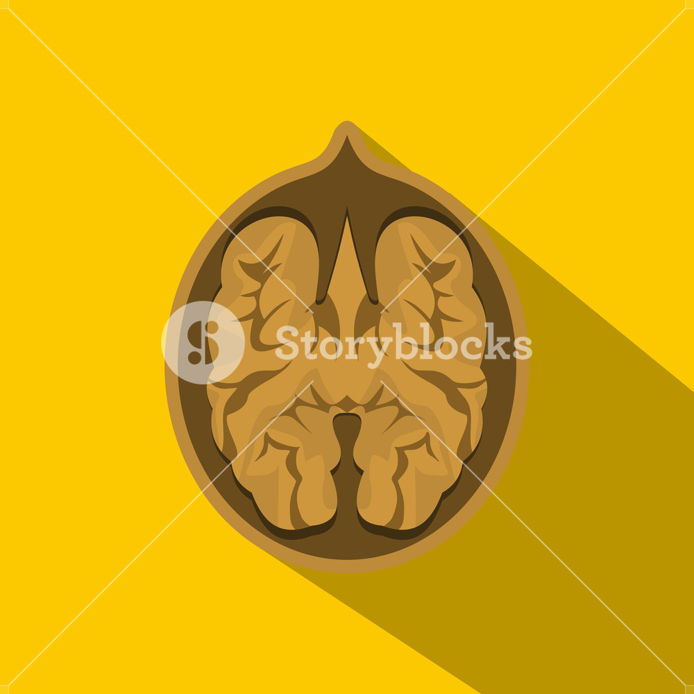 1000x1000 Walnut Icon Flat Illustration Of Walnut Vector Icon For Web