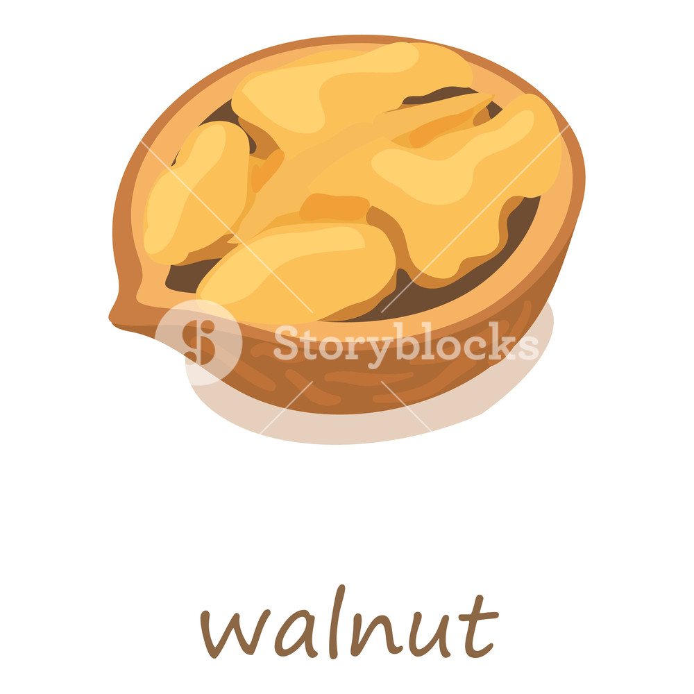 1000x1000 Walnut Icon Isometric Illustration Of Walnut Vector Icon For Web