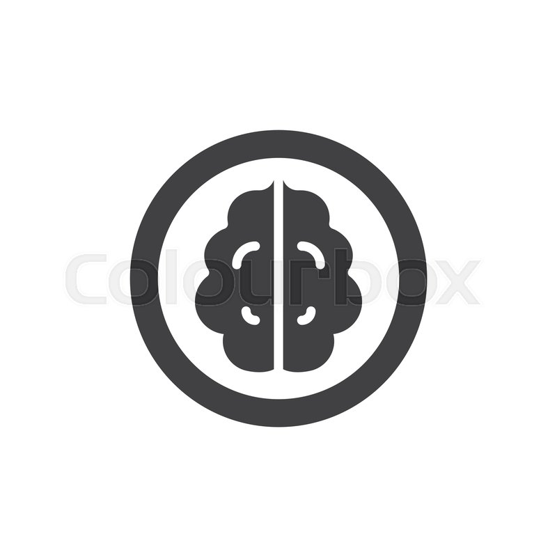 800x800 Walnut Kernel Vector Icon Filled Flat Stock Vector Colourbox