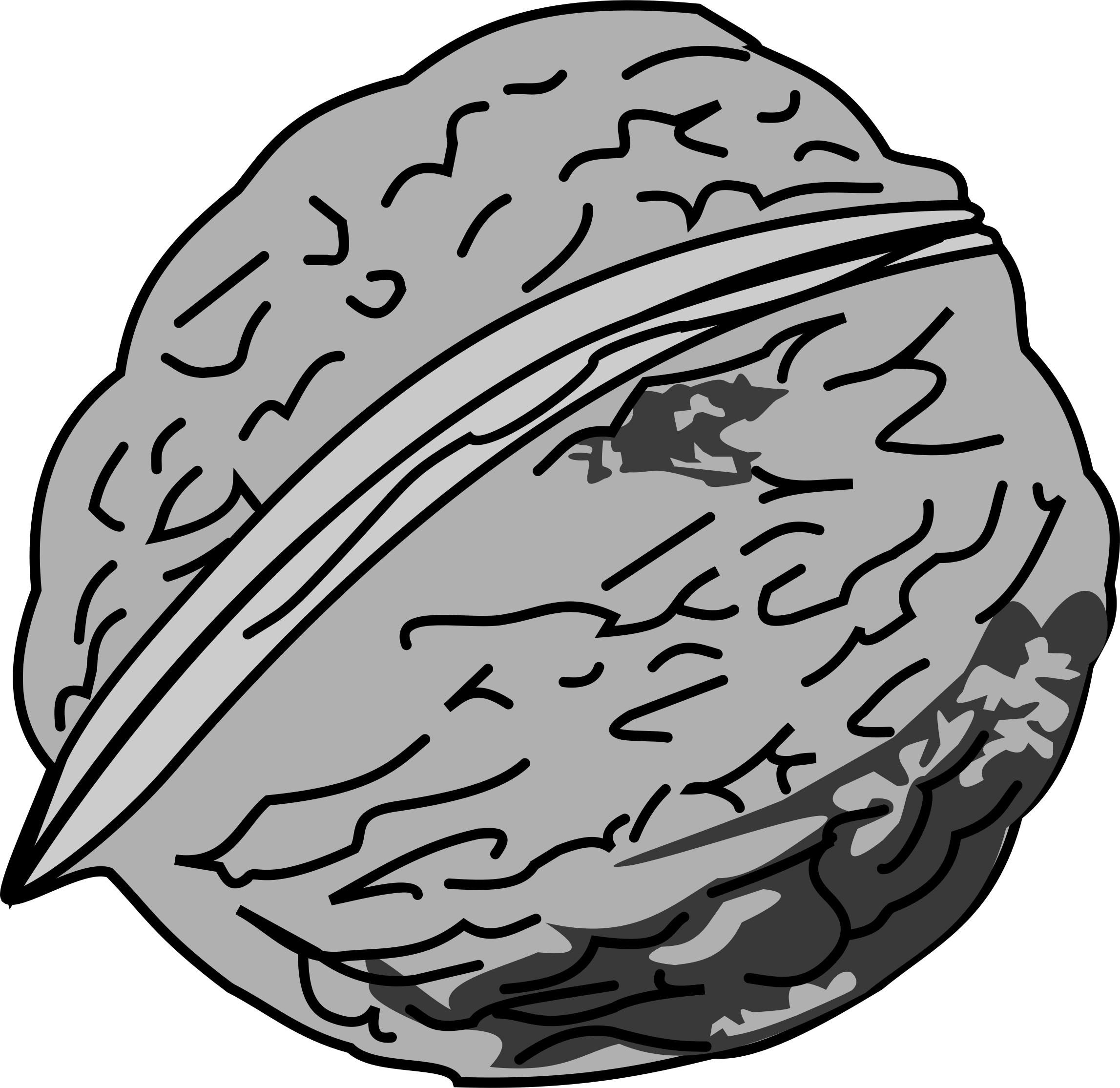 2294x2228 Walnut Icons Png