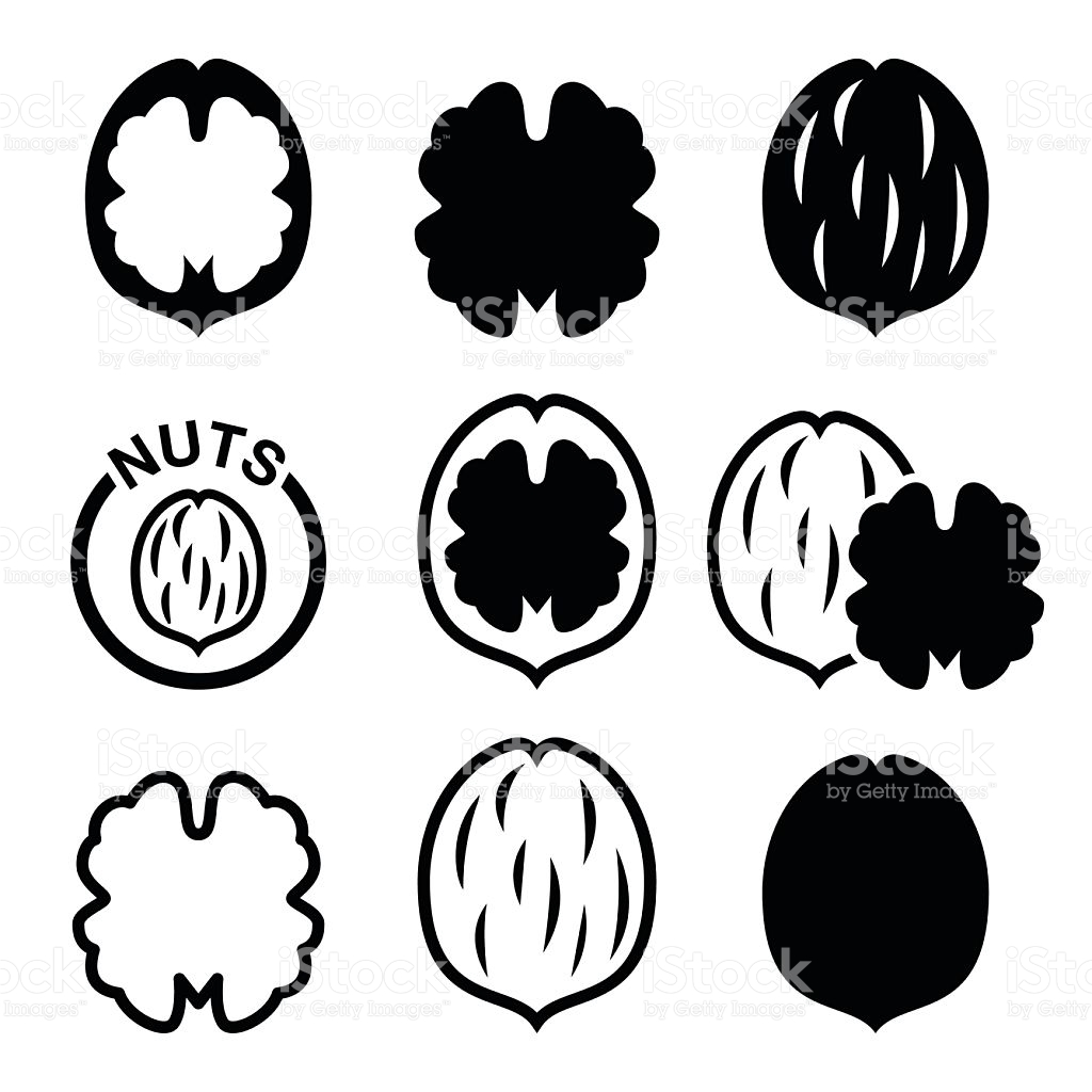 1024x1024 Nutshell Icon