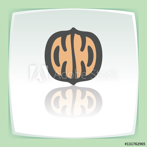 500x500 Vector Outline Walnut Icon Modern Infographic Logo And Pictogram