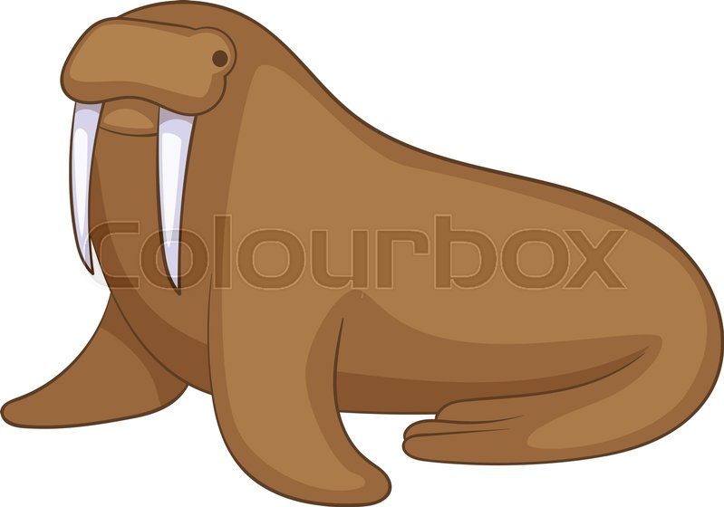 799x560 Walrus Icon Cartoon Illustration Of Stock Vector Colourbox