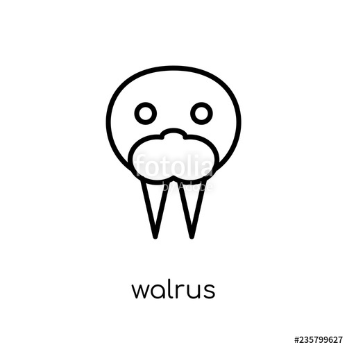 500x500 Walrus Icon Trendy Modern Flat Linear Vector Walrus Icon On White