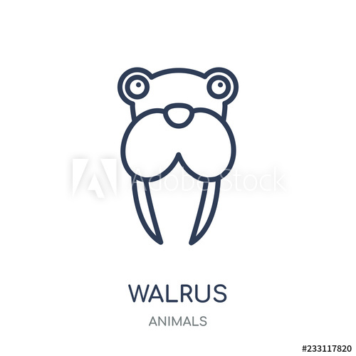 500x500 Walrus Icon Walrus Linear Symbol Design From Animals Collection