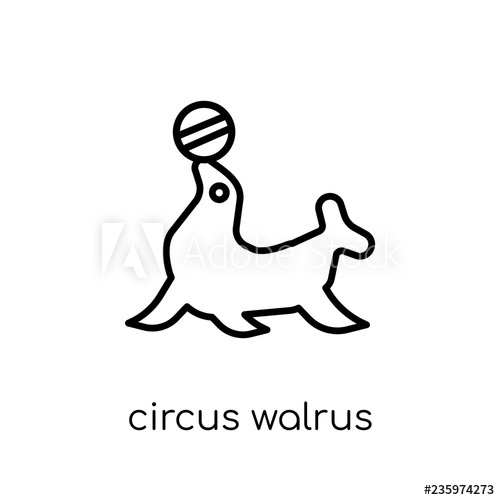 500x500 Circus Walrus Icon From Circus Collection