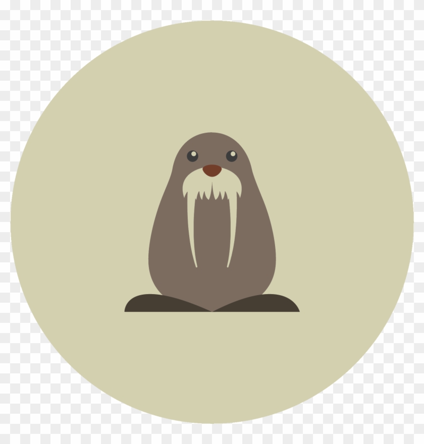 Walrus Icon at Vectorified.com | Collection of Walrus Icon free for ...