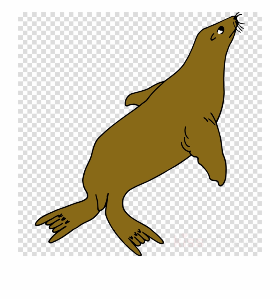 920x980 Simple Walrus, Seals, Yellow, Transparent Png Image