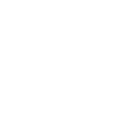 250x250 Sd Wan Solutions Fortinet