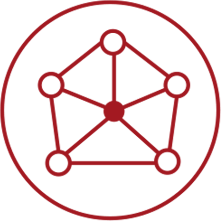 446x446 Sd Wan Icon Red